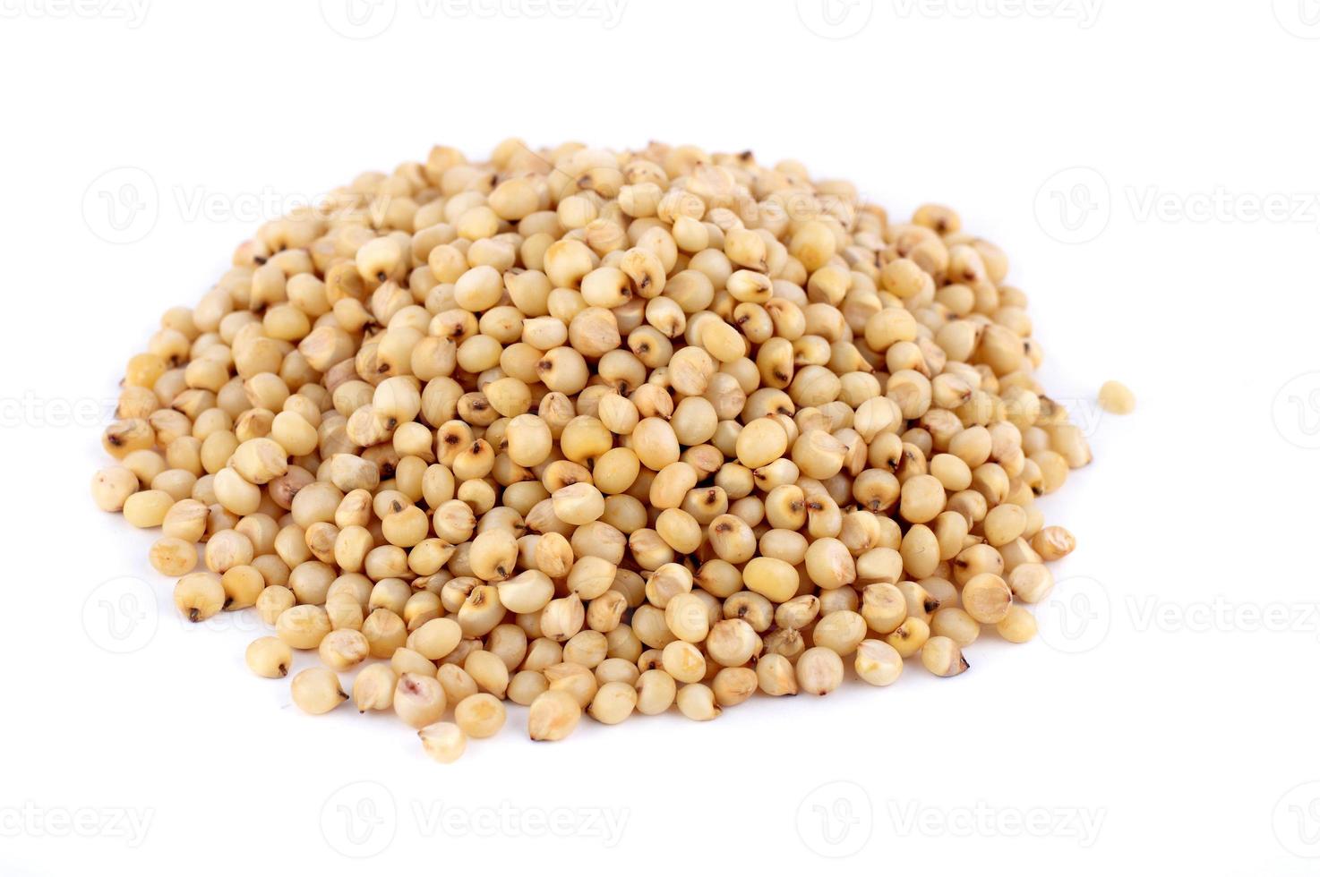 Heap of Jowar, Sorghum on white background, Close up. photo