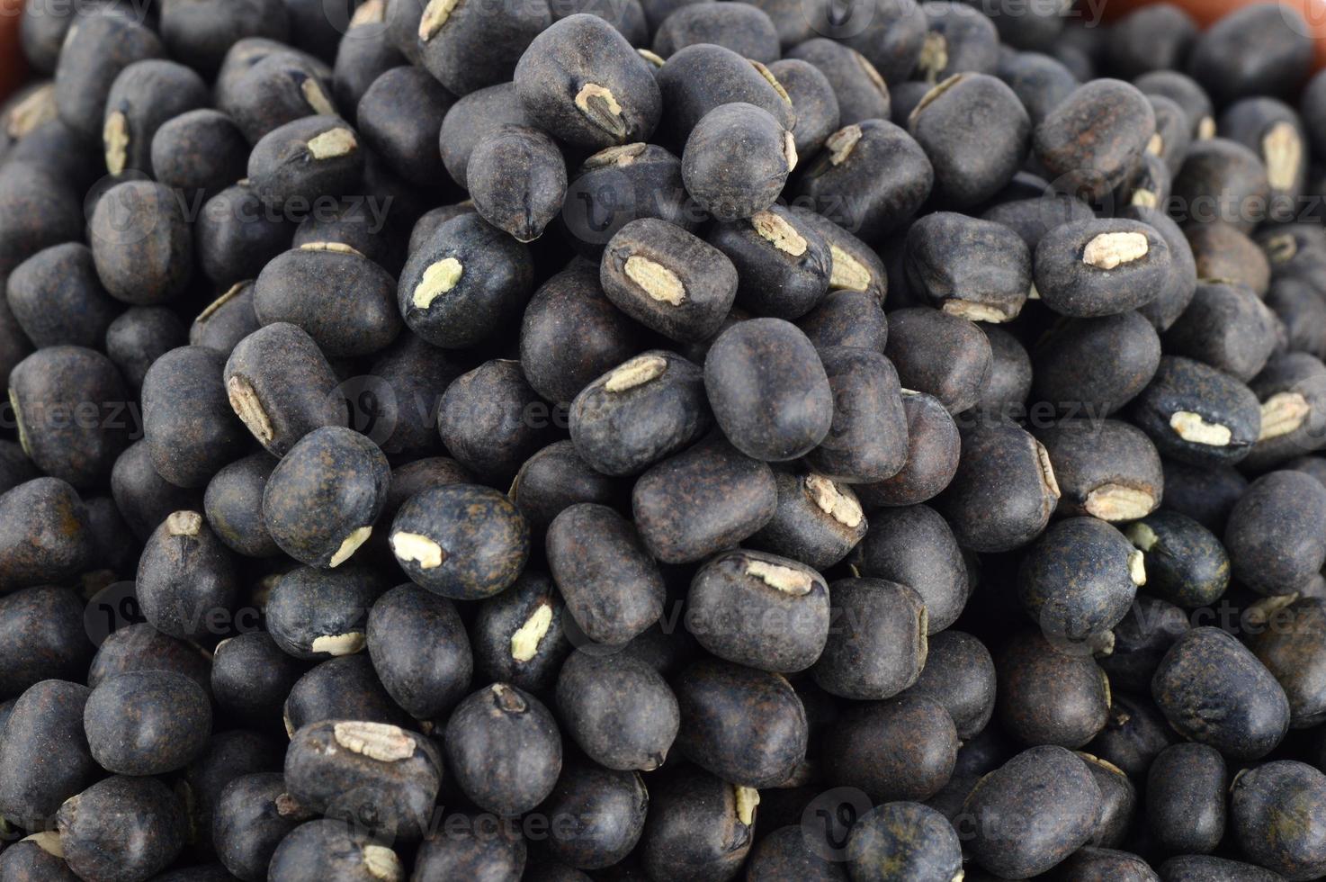 Urad dal, black gram, Vigna mungo on white background photo