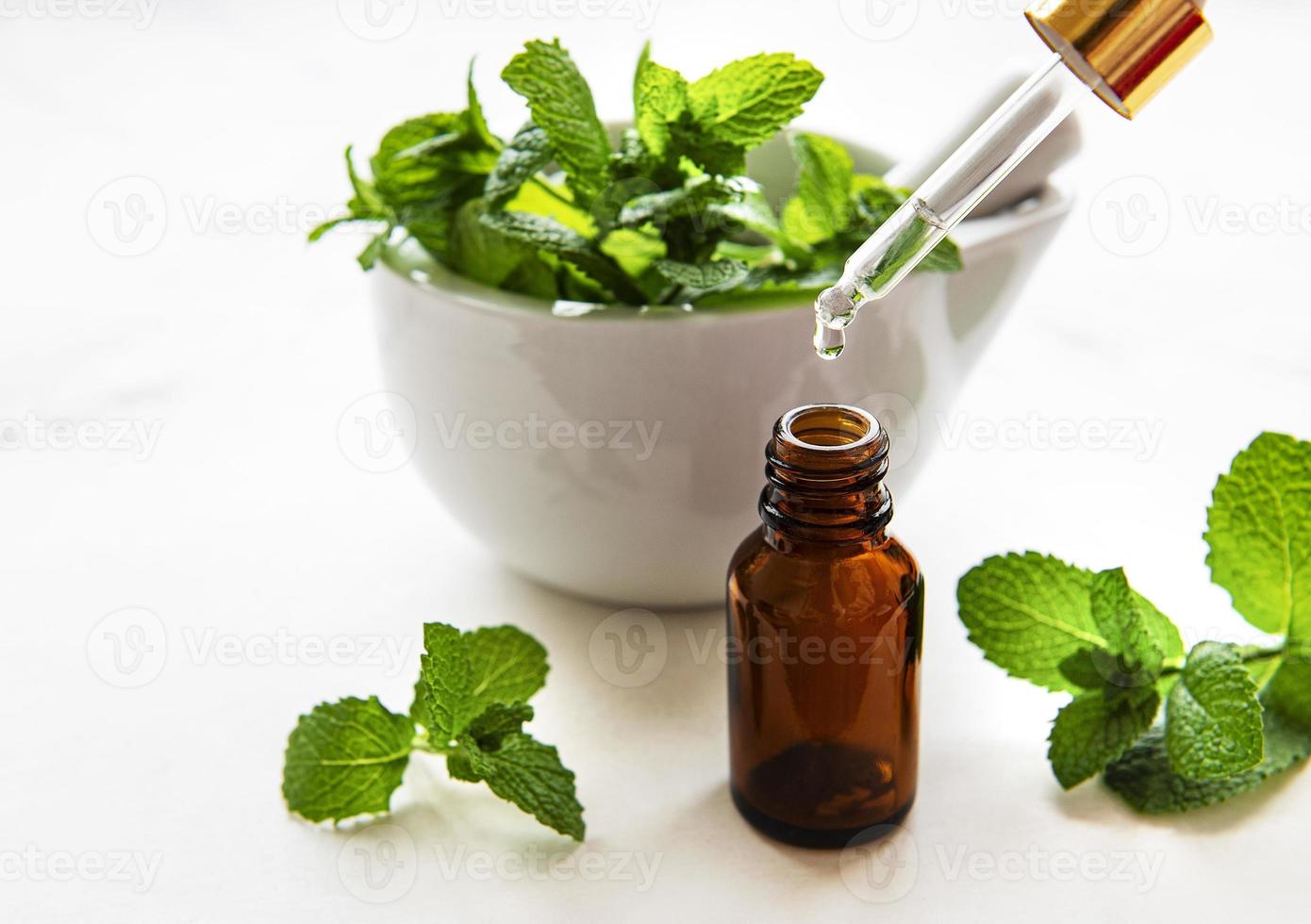 Mint oil and fresh mint in mortar photo