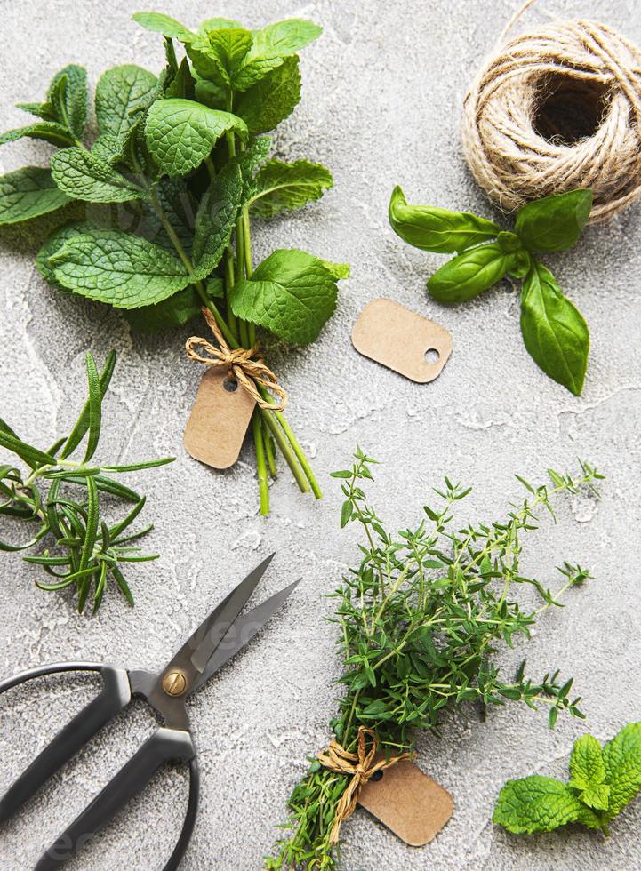 Fresh herbs on grey concrete background photo
