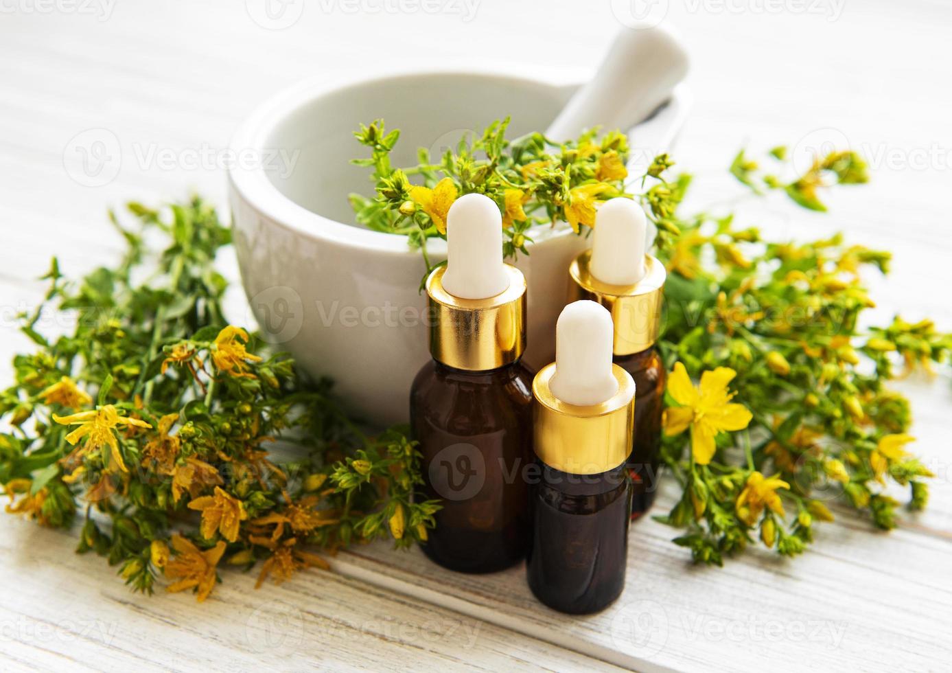 St johns wort oils, and  fresh herbs in a mortar photo