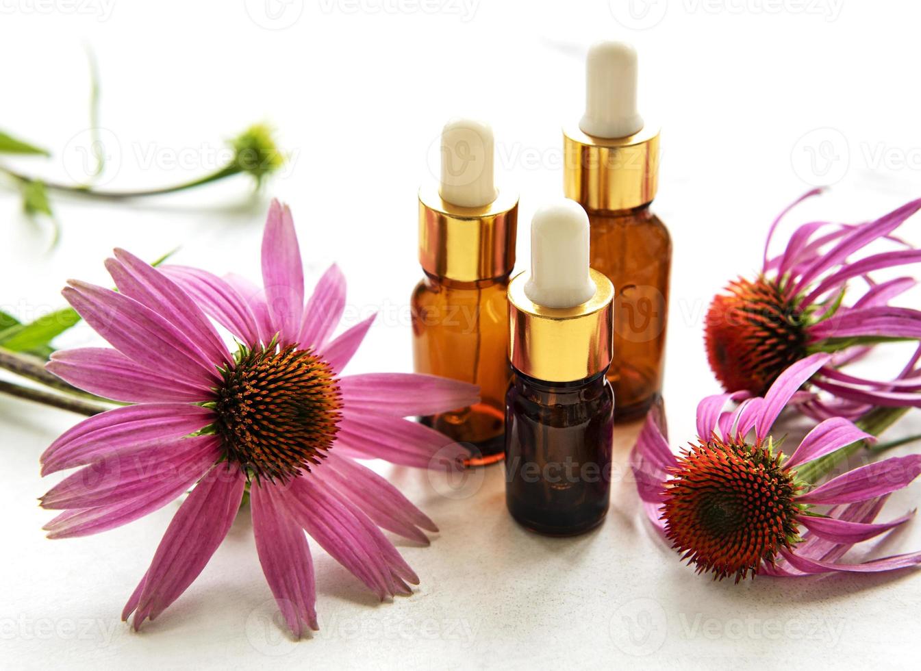 Bottles with essence oil and echinacea flowers photo