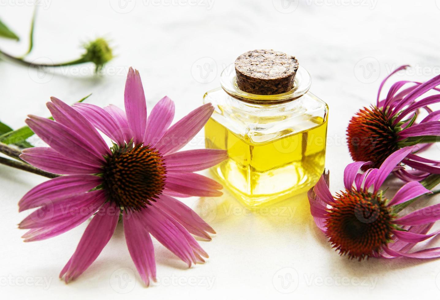 Echinacea and essential oils on marble background. photo