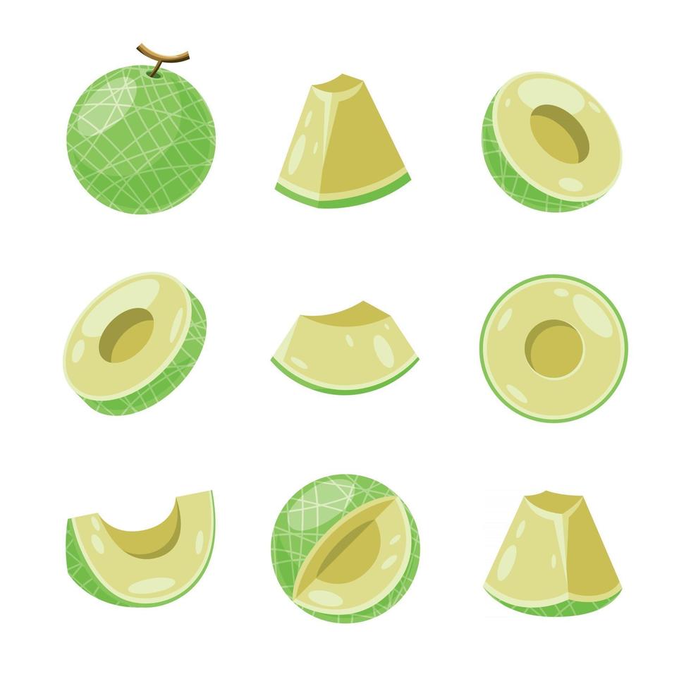 iconos de melón fresco vector