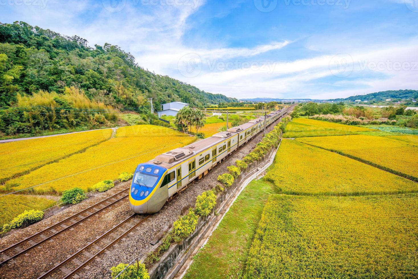 Train on the field in Miaoli, Taiwan photo