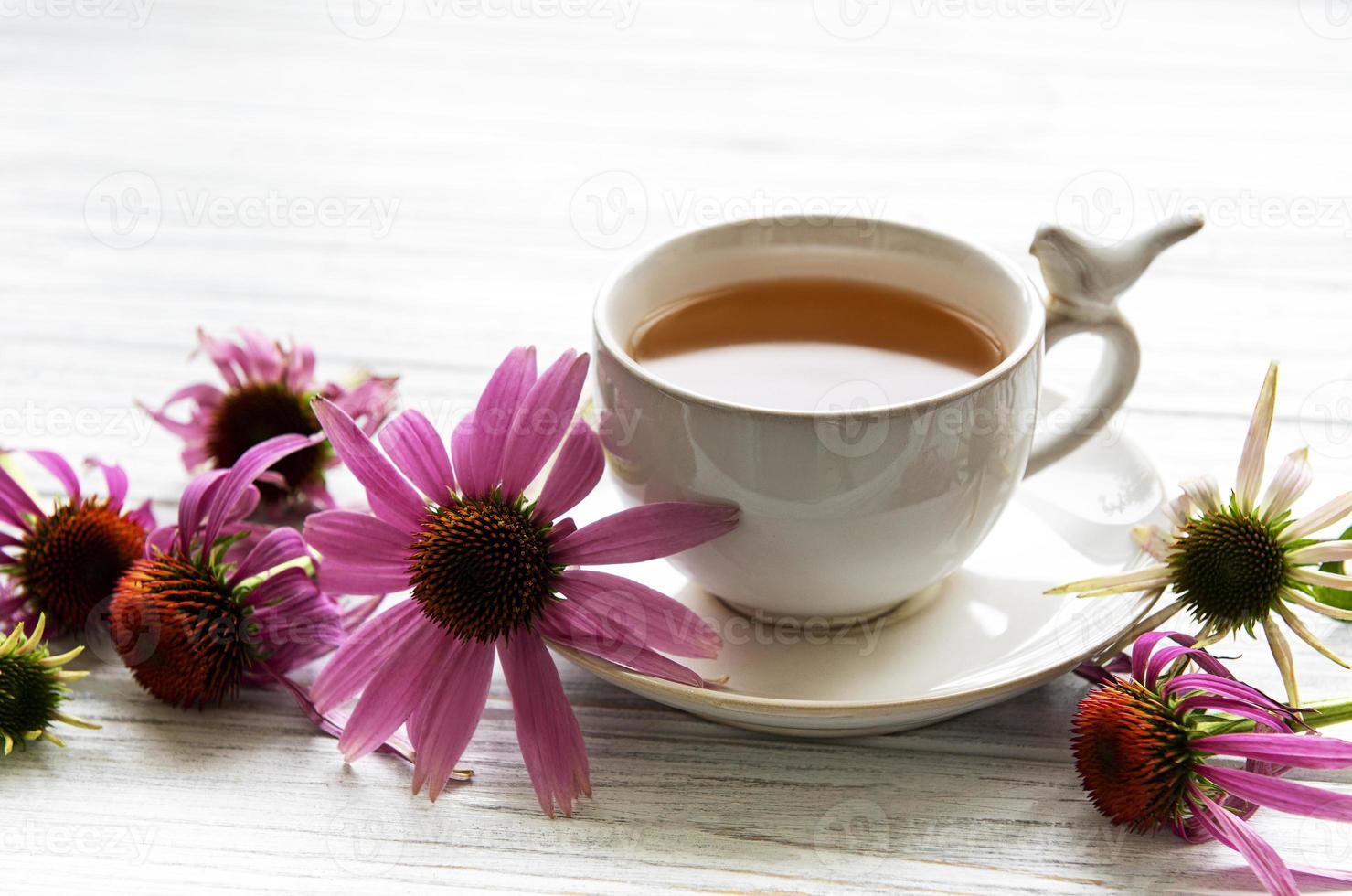 Echinacea tea with lemon and fresh flowers. photo