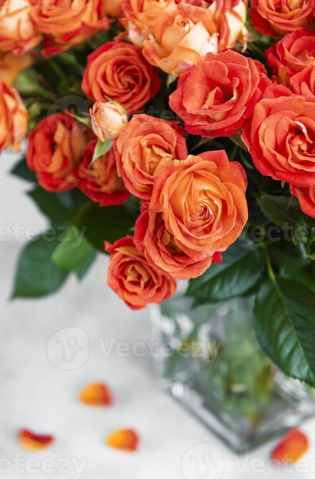 Red roses in a glass vase photo