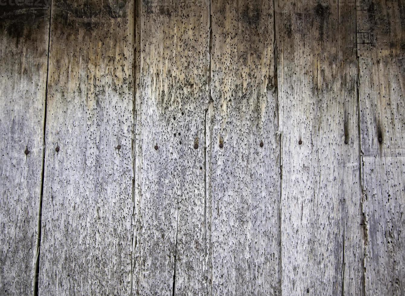 textura de la pared de madera foto