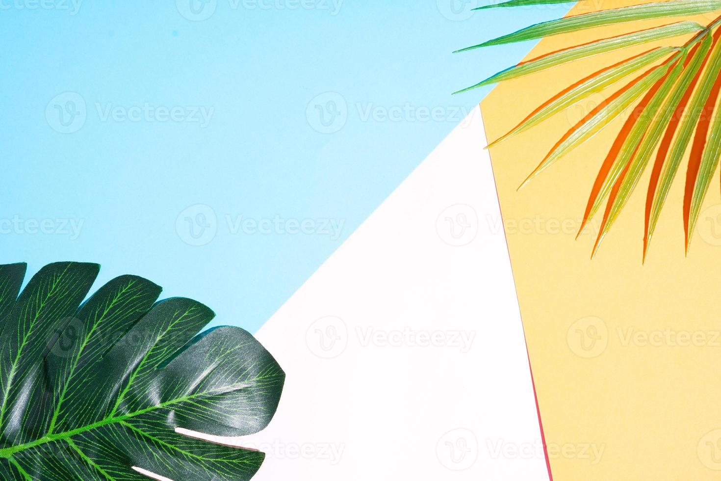 Summer background with leaf on yellow and pink background photo