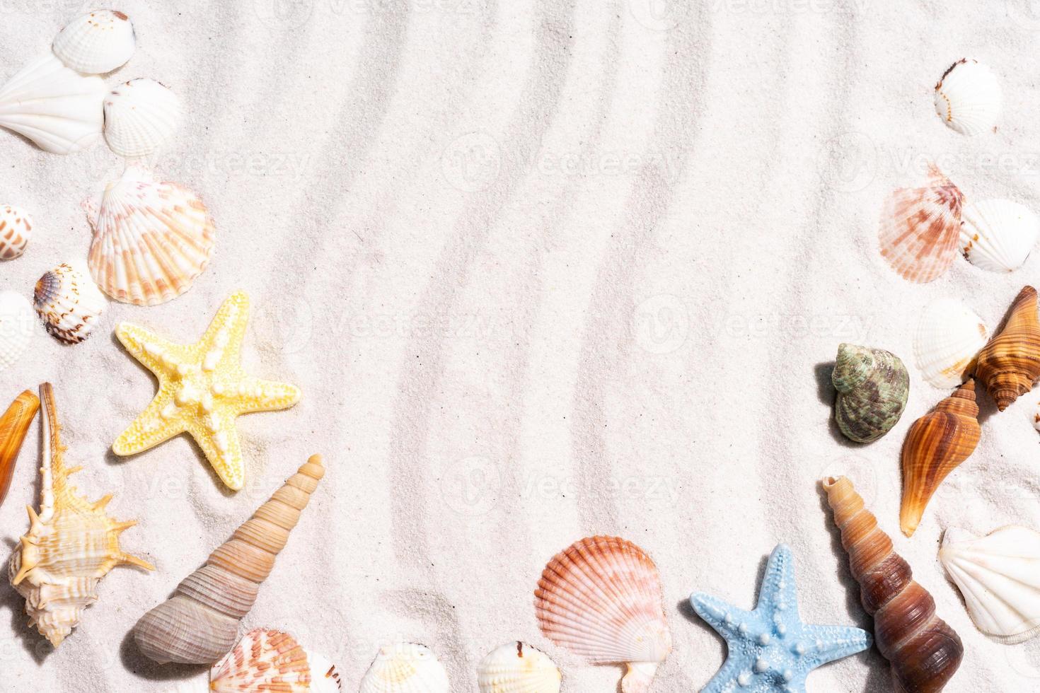 Summer background with seashells and conch shells on the sand photo