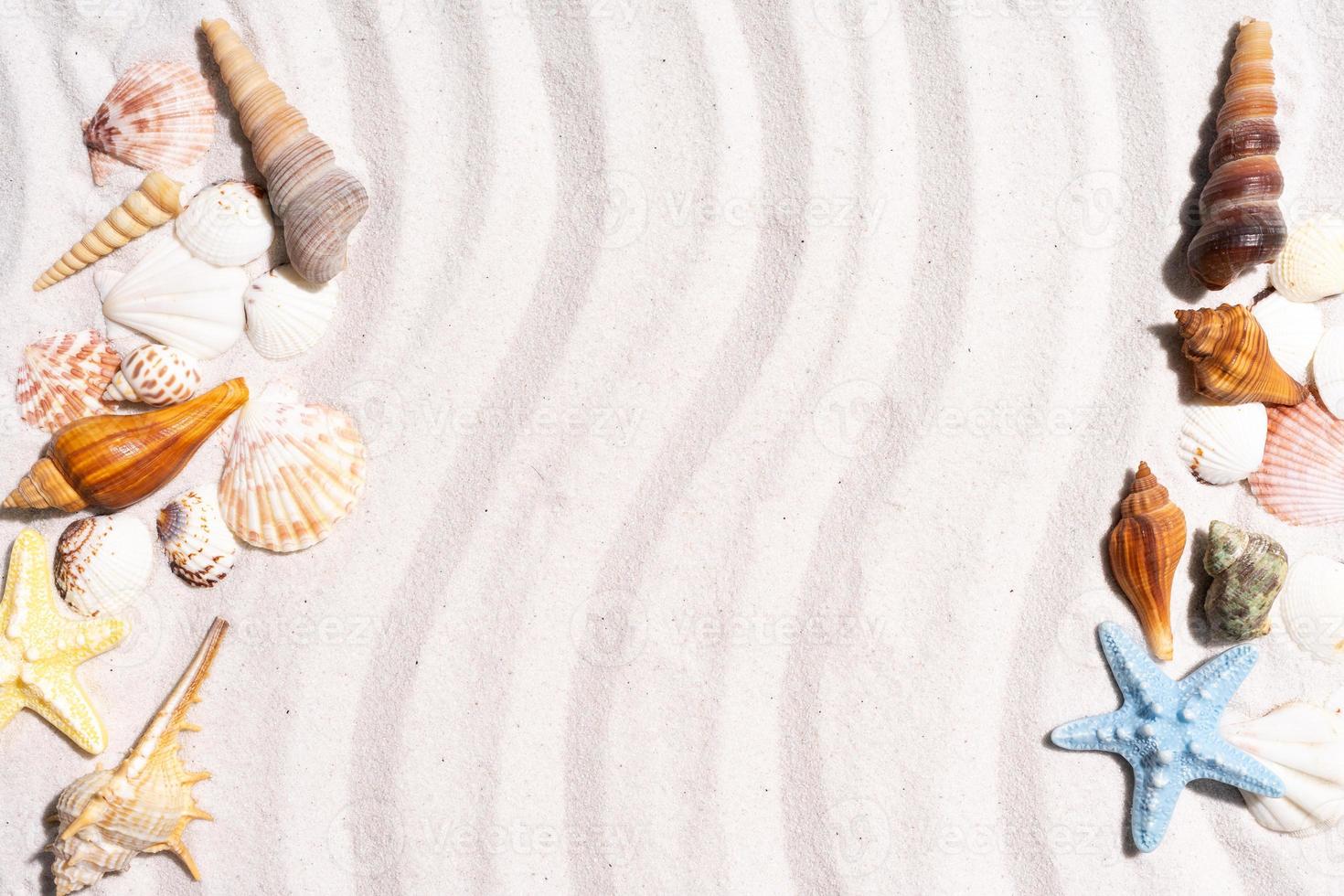 Summer background with seashells and conch shells on the sand photo