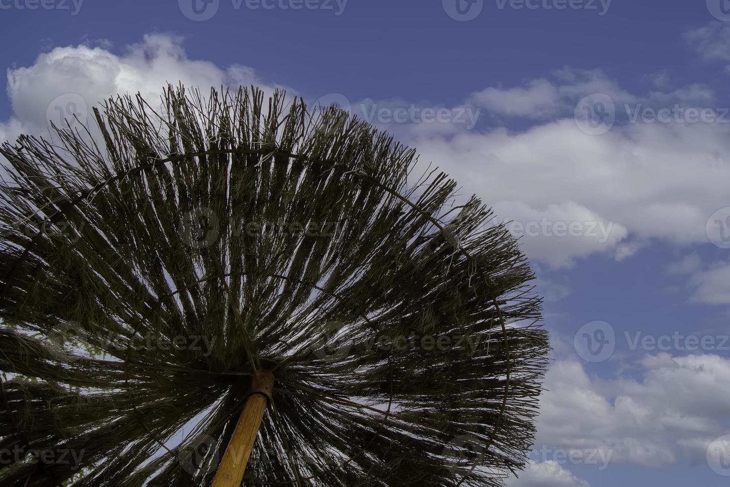 Umbrella on beach photo