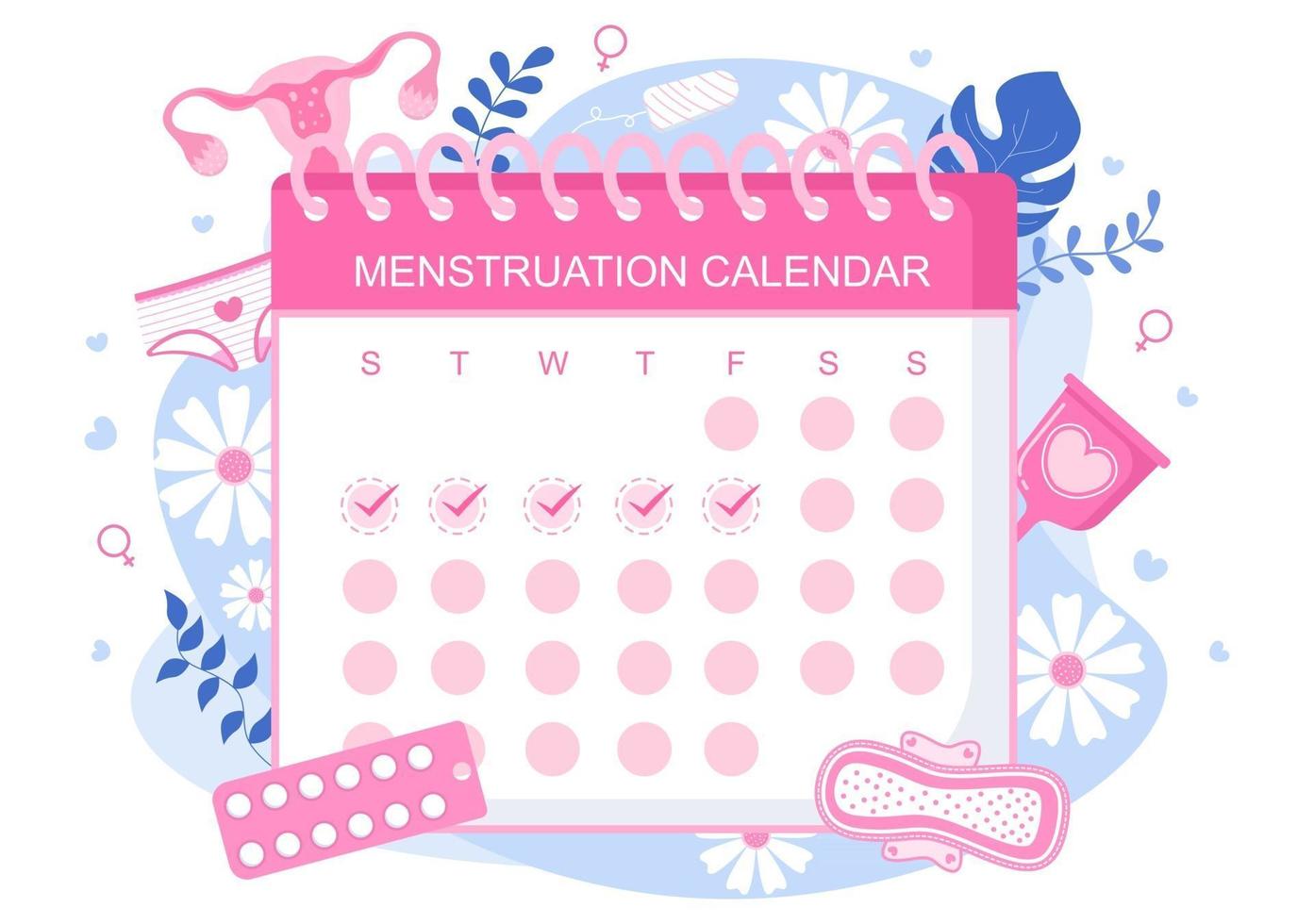 Menstruation Period Calendar Women To Check Date Cycle Illustration vector