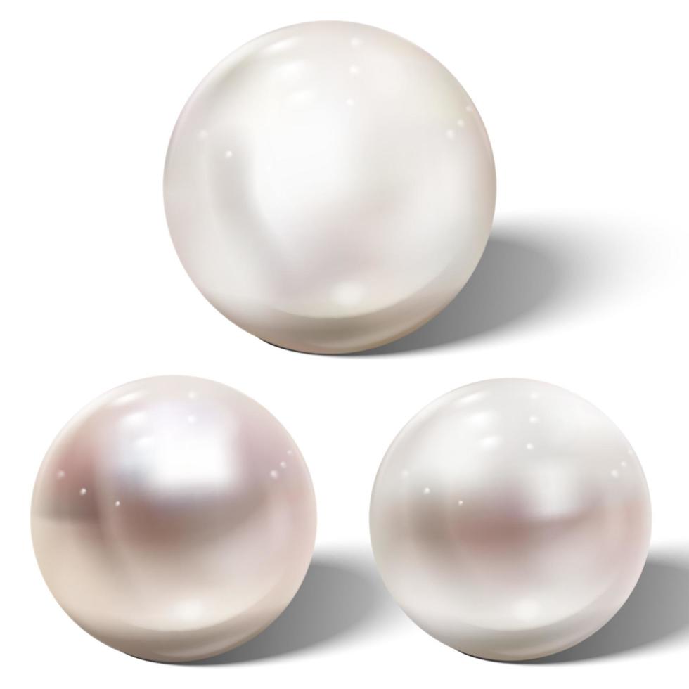 Realistic shiny natural sea pearl with light effects vector