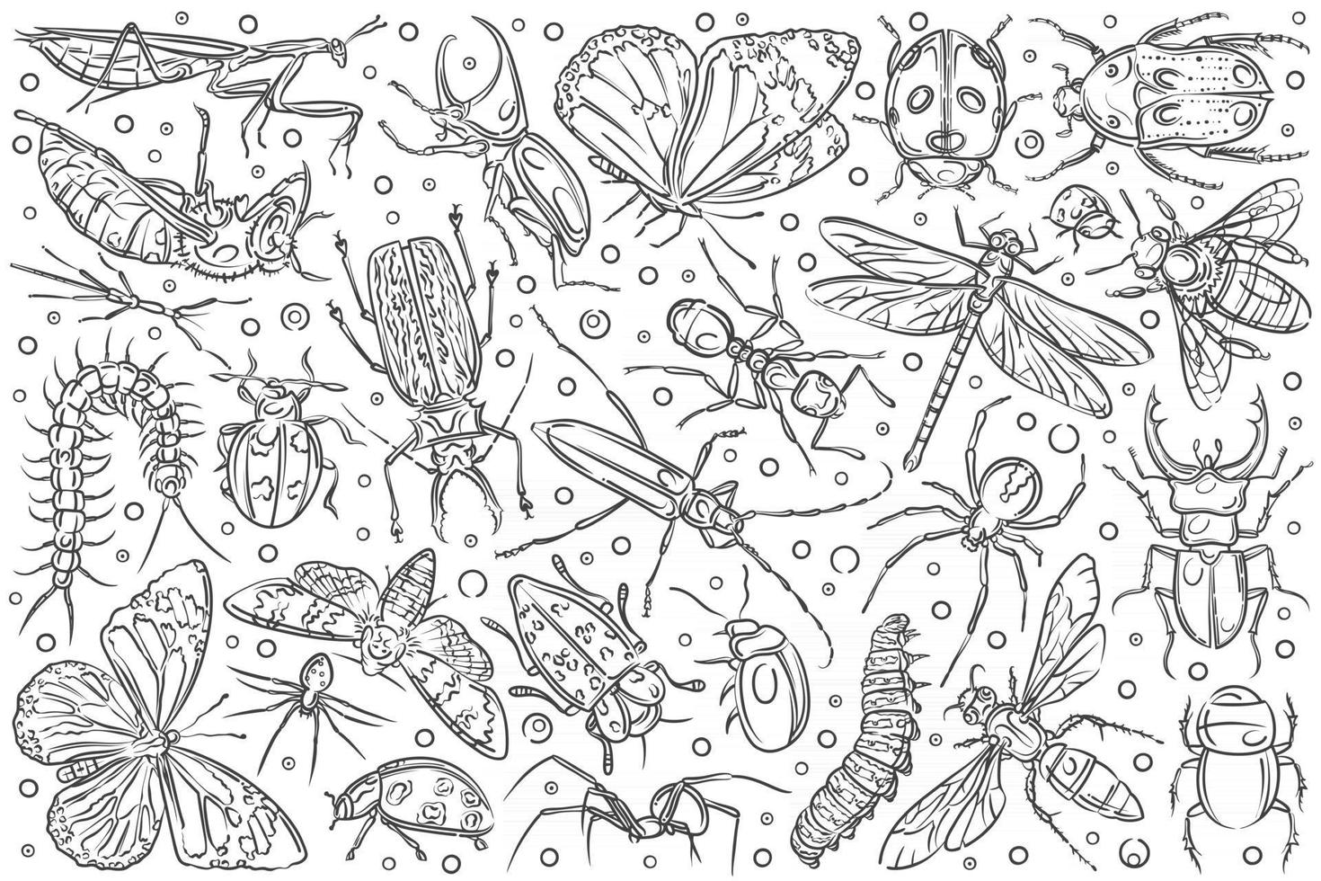 insectos dibujados a mano hormiga y mariposa vector