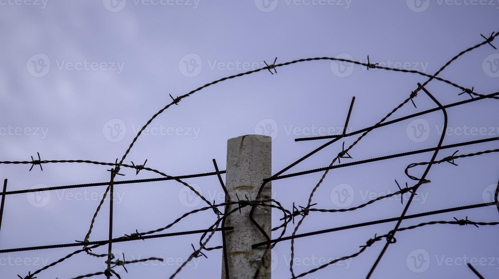 Barbed wire immigration photo