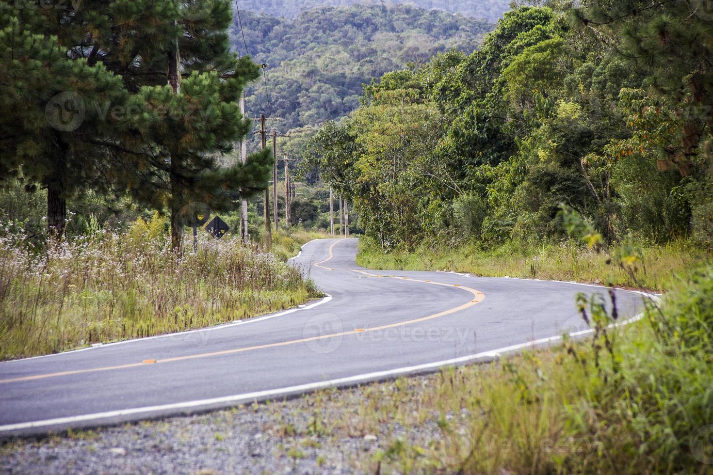 carretera brasileña vacía foto