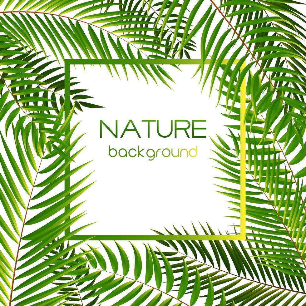 Palm Tree Leaf Silhouette Background vector