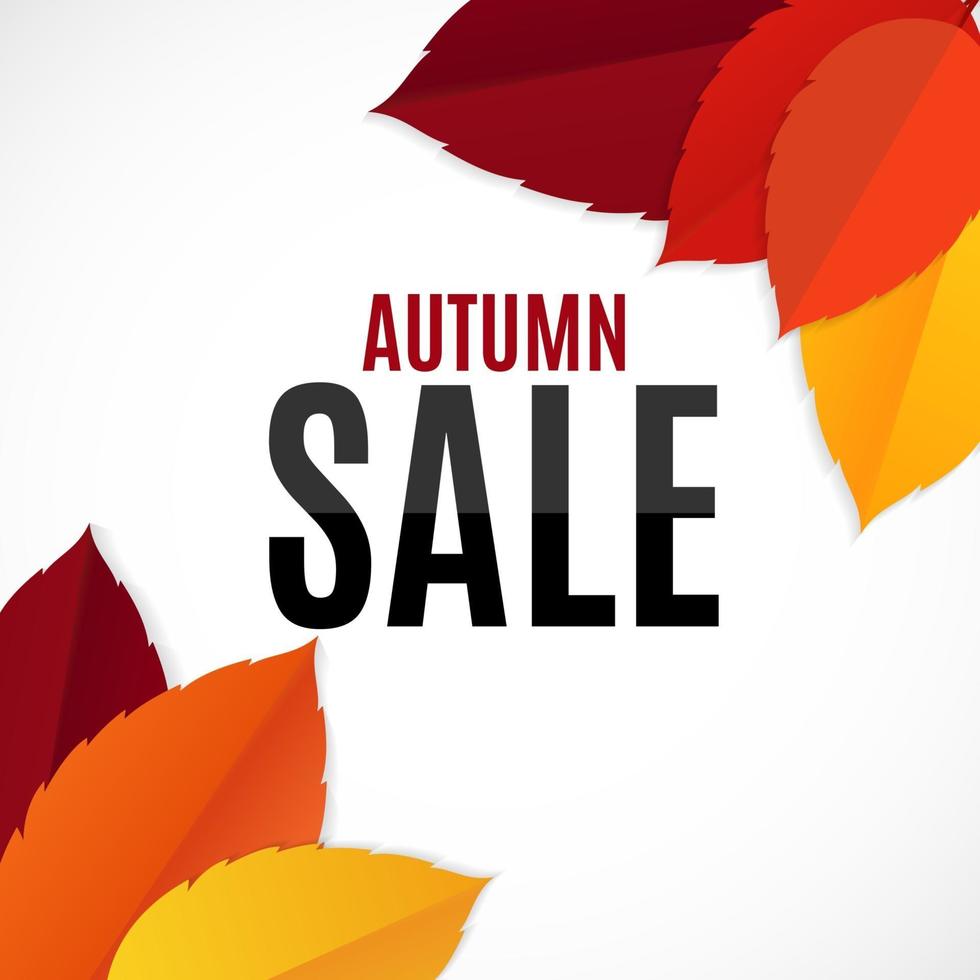 Autumn sale leaf background vector