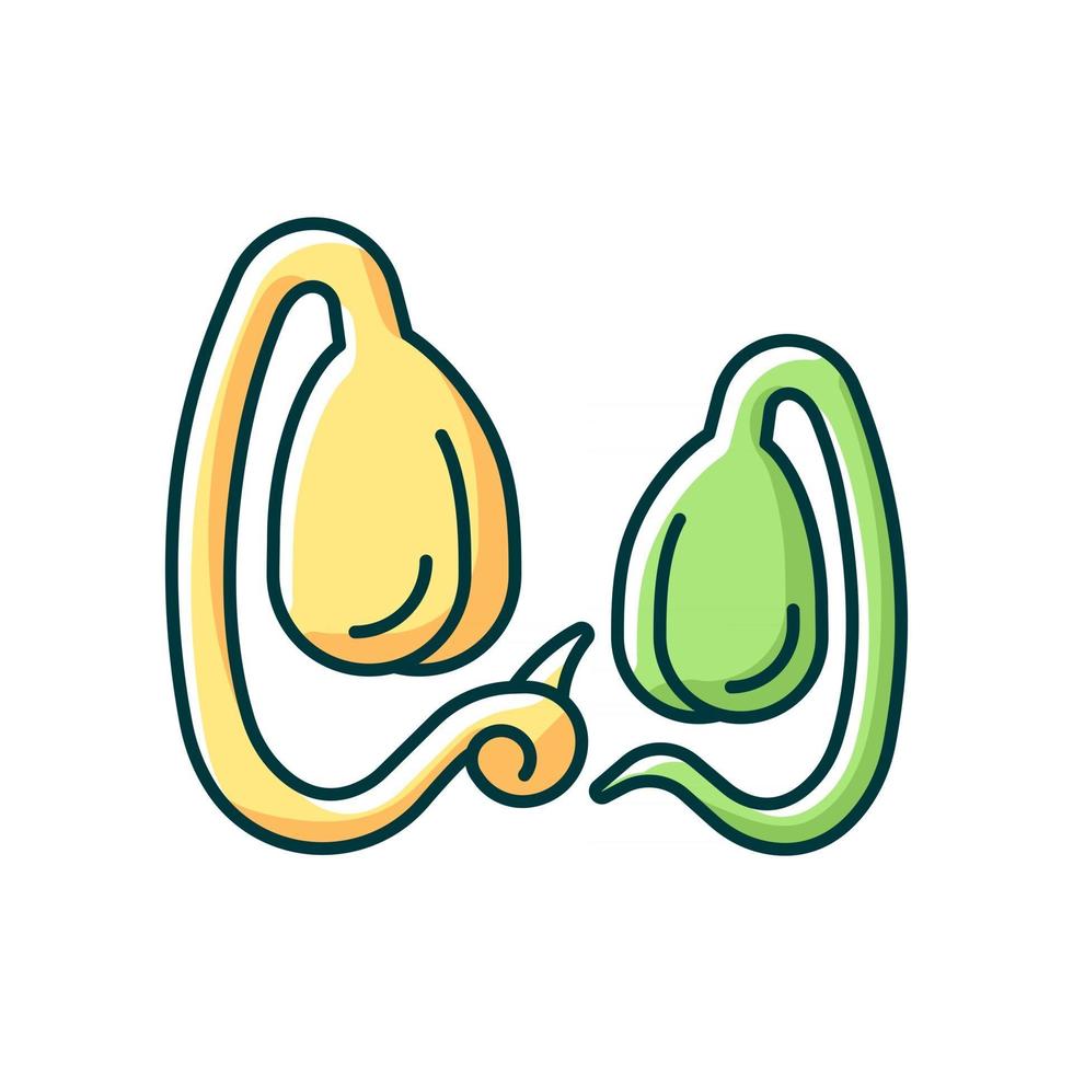 icono de color rgb de brotes de soja. ilustración vectorial aislada. Crecimiento de ingredientes culinarios. micro verduras saludables. preparación de comidas vegetarianas. frijoles de soja naturales dibujo lineal relleno simple vector