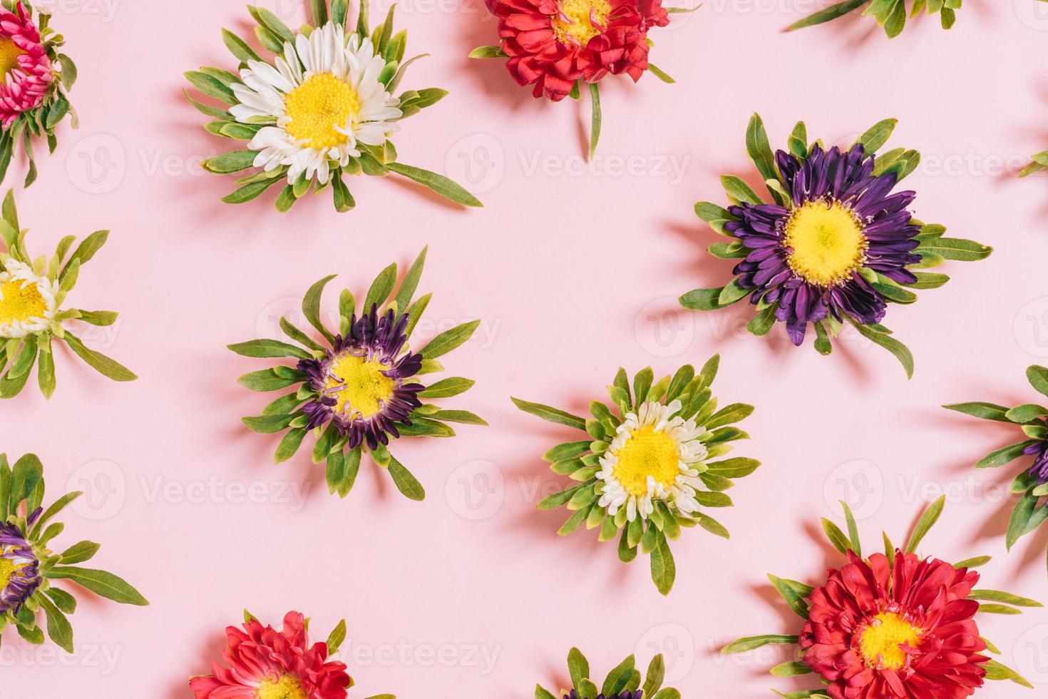 Colorful flowers arranged on a pink background photo