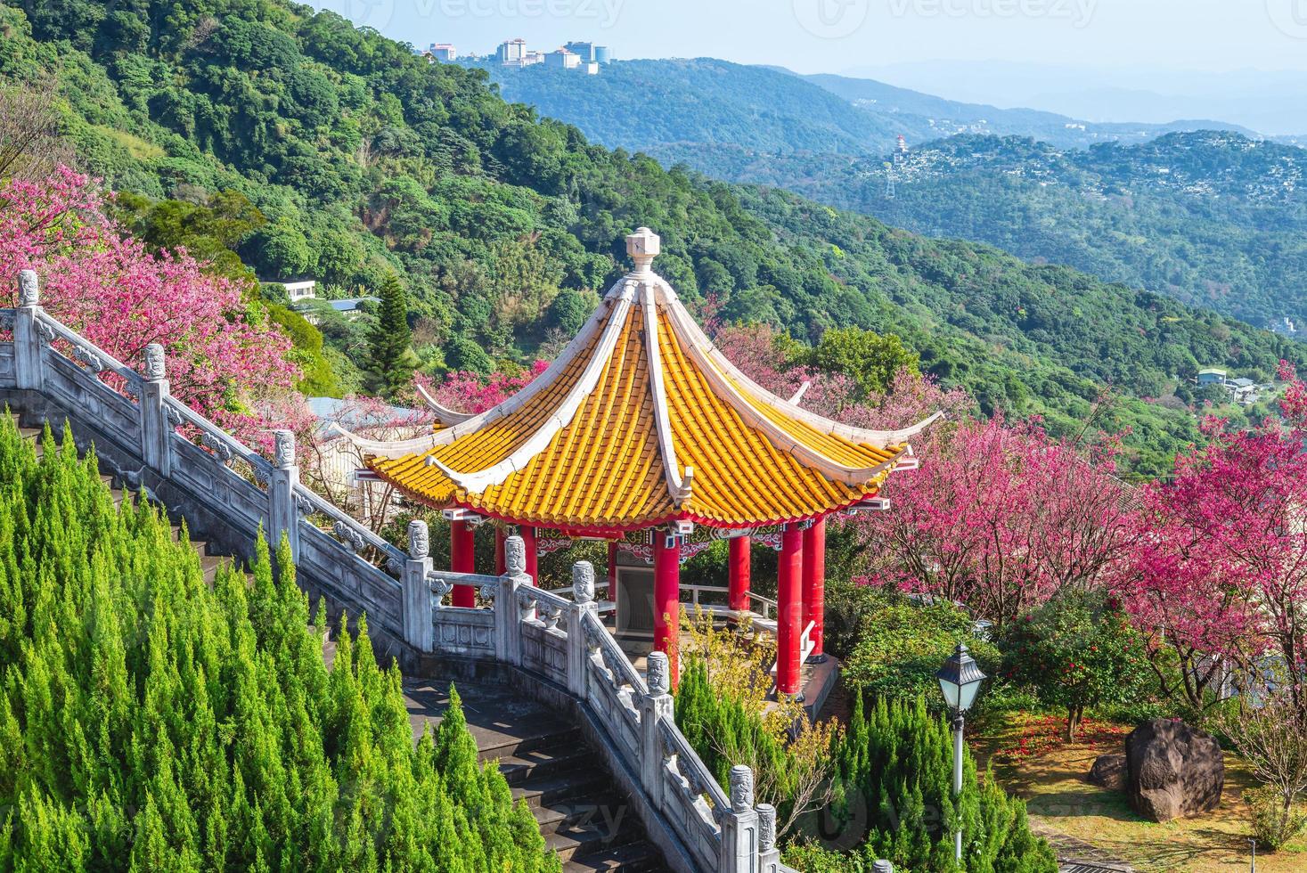 Cherry blossom and Chinese pavilion near Taipei City in Taiwan photo