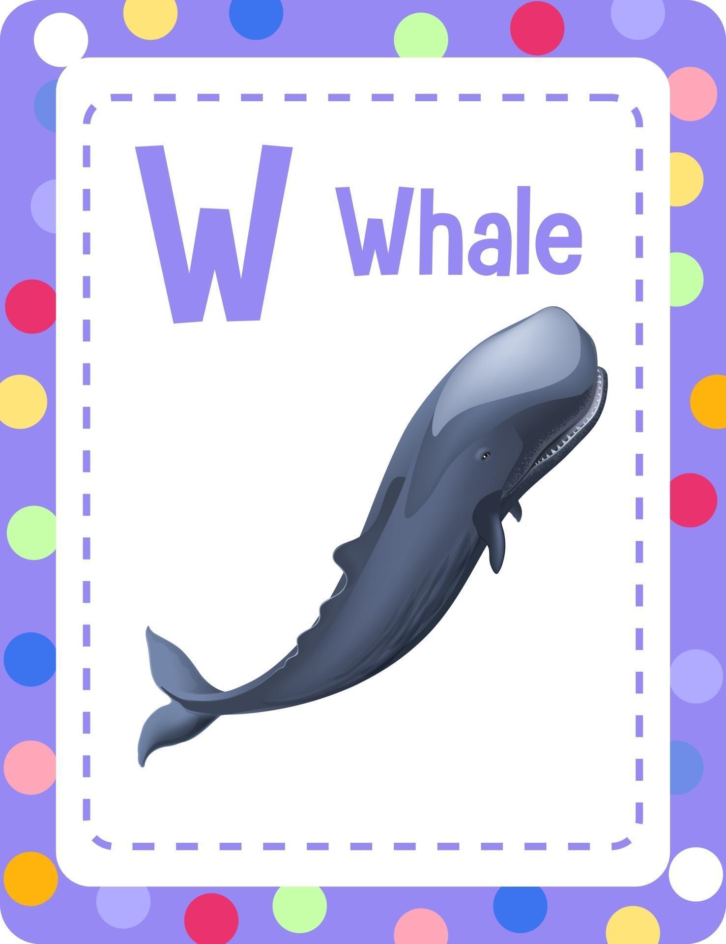 W Letter Whale. W Whale английский алфавит. W кит английский алфавит. Whale Flashcard.
