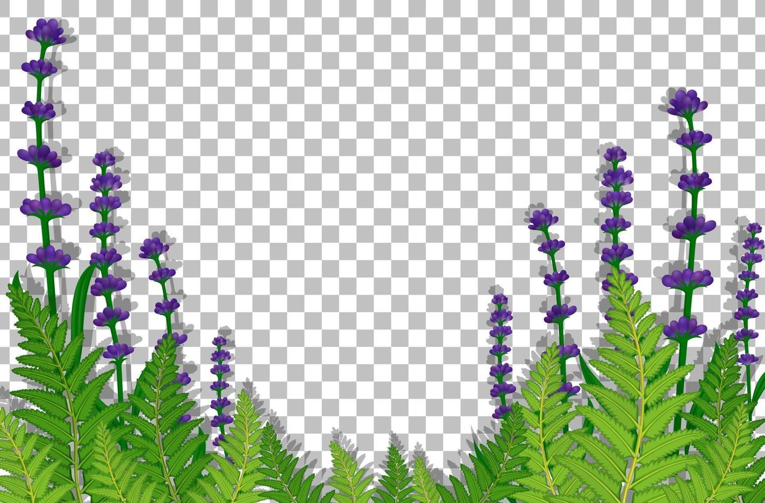 Purple flowers field frame vector