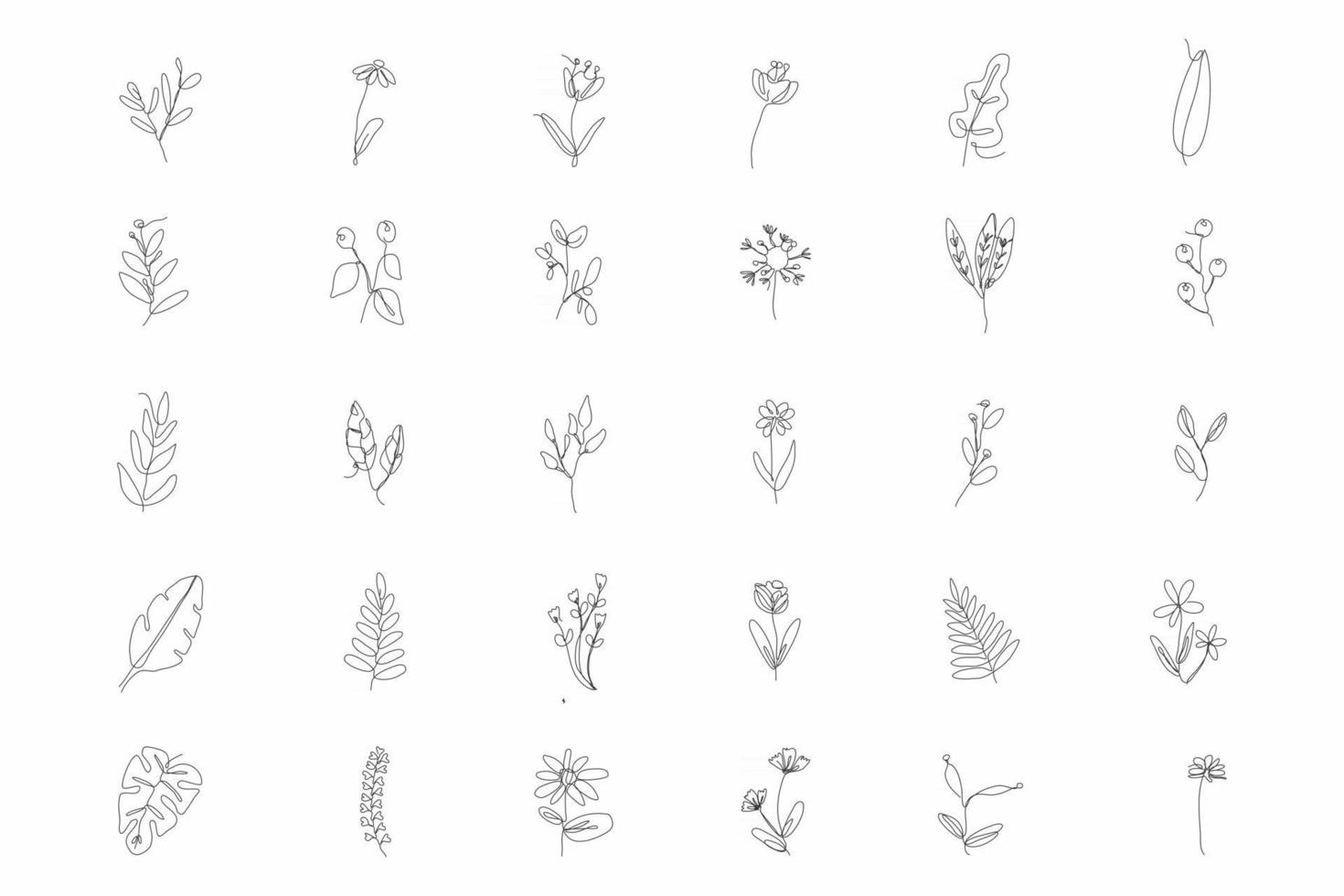 30 líneas de arte continuo de vector floral.