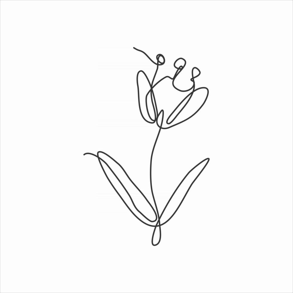 one line drawing of leaves and tulip flower. continuous line art vector