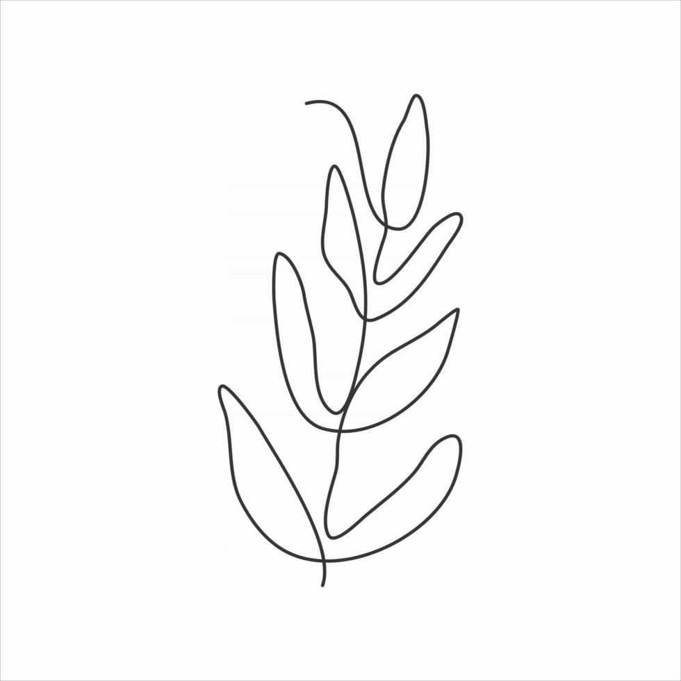 one line drawing of fern leaves. continuous line art vector