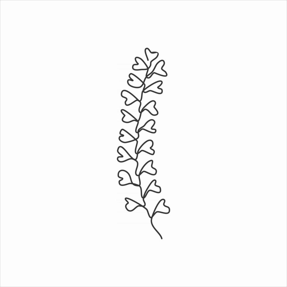 one line drawing of lemon basil flower. continuous line art vector