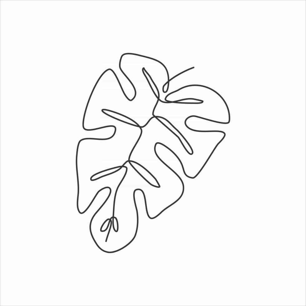 one line drawing of monstera leaf. continuous line art vector