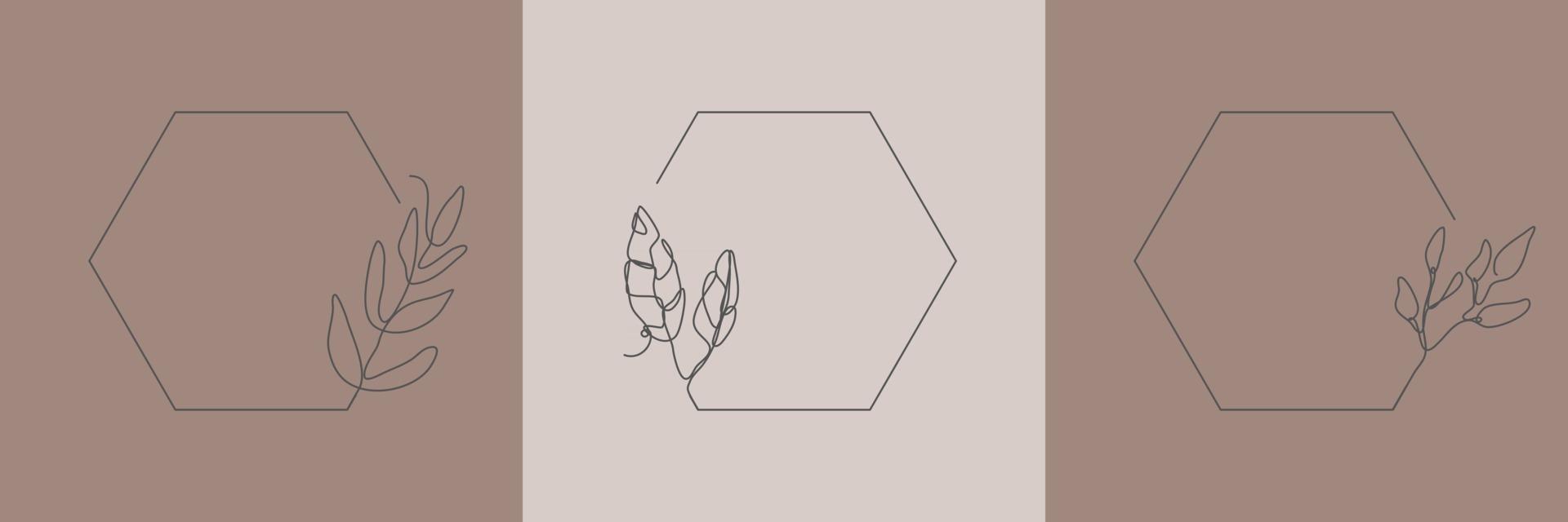 Establecer hierba orgánica floral dibujada a mano, hojas y flores con marco hexagonal, elemento decorativo de hoja. Ilustración de vector de arte lineal para redes sociales, boda, invitación, logotipo, cosmética