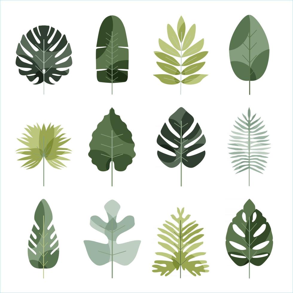 Tropical leaves icon vector set