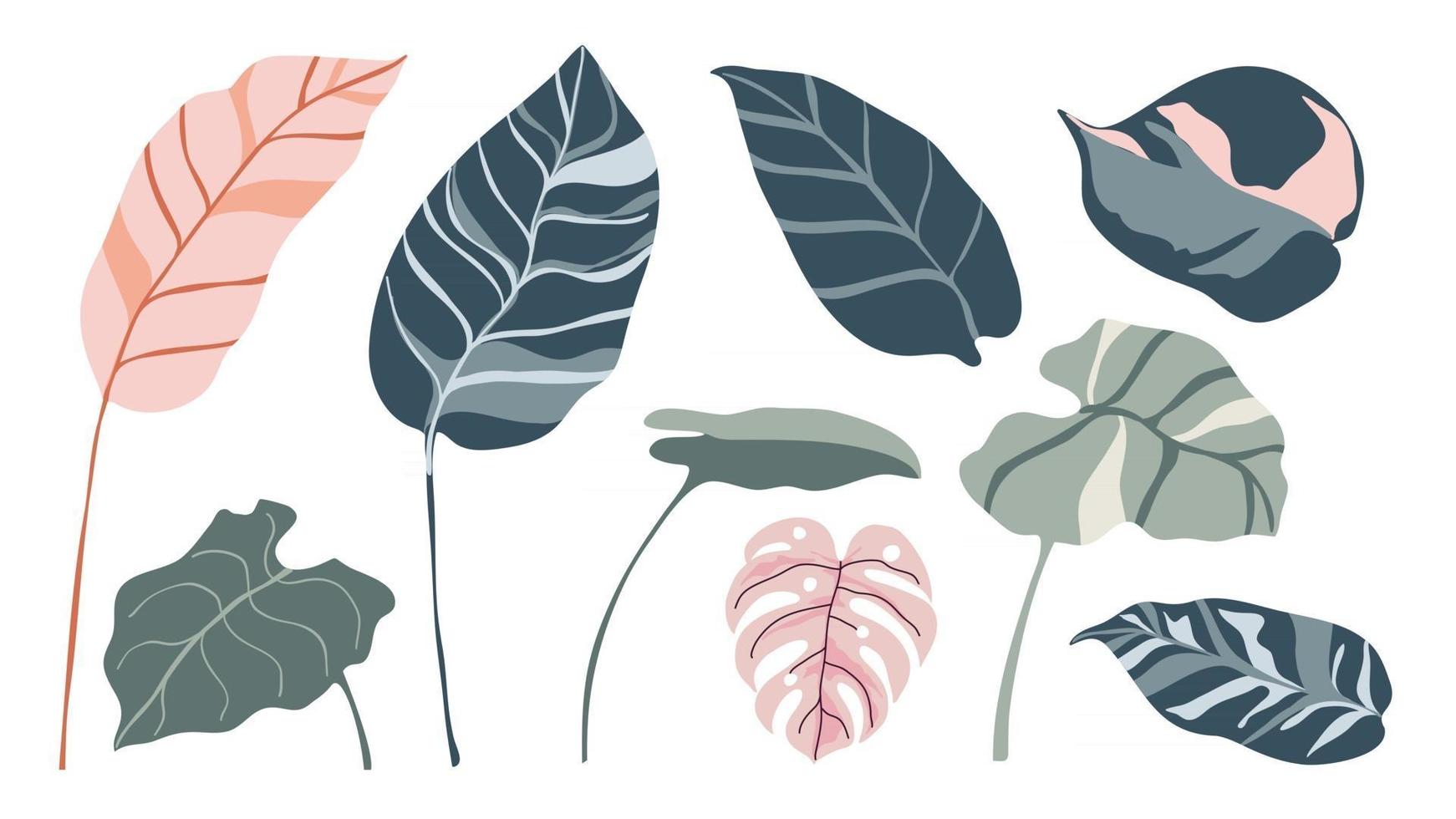 Tropical leaves vector set. Palm leaf, coconut leaf, banana leaves, monstera, fern, Botanical and Jungle leaves design for nature background, Eco and summer banner, wallpaper, pattern and prints.