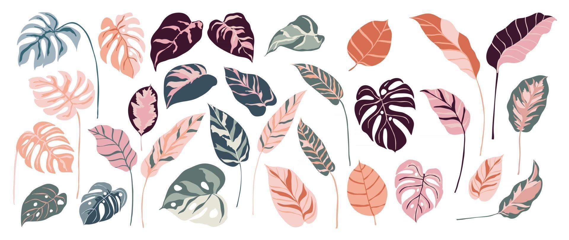 Tropical leaves vector set. Palm leaf, coconut leaf, banana leaves, monstera, fern, Botanical and Jungle leaves design for nature background, Eco and summer banner, wallpaper, pattern and prints.