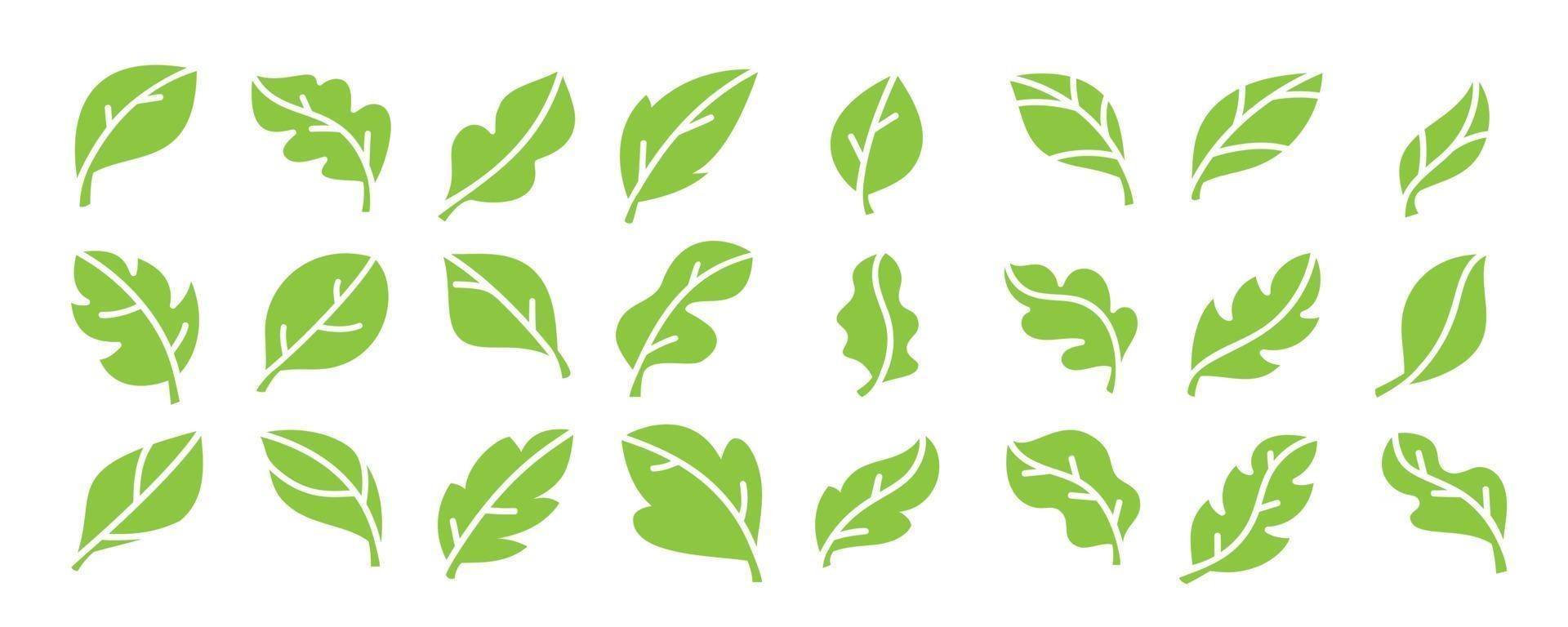 Leaf icons vector. Green leaves logo design collection. vector