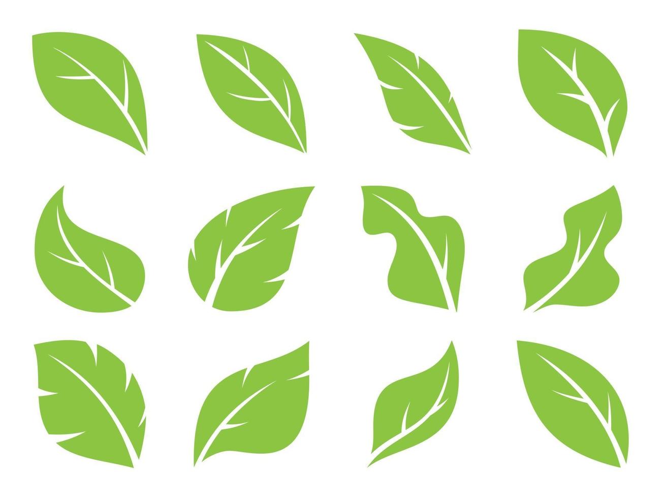 vector de iconos de hoja. colección de diseño de logo de hojas verdes.