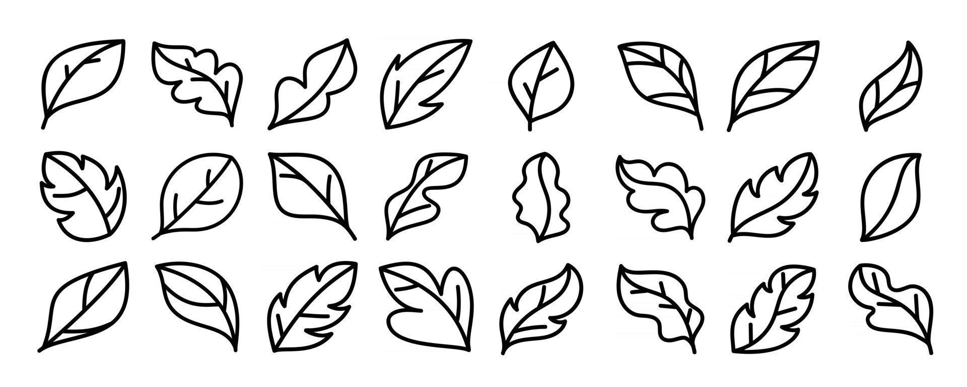 leaves hand drawn icon vector set.