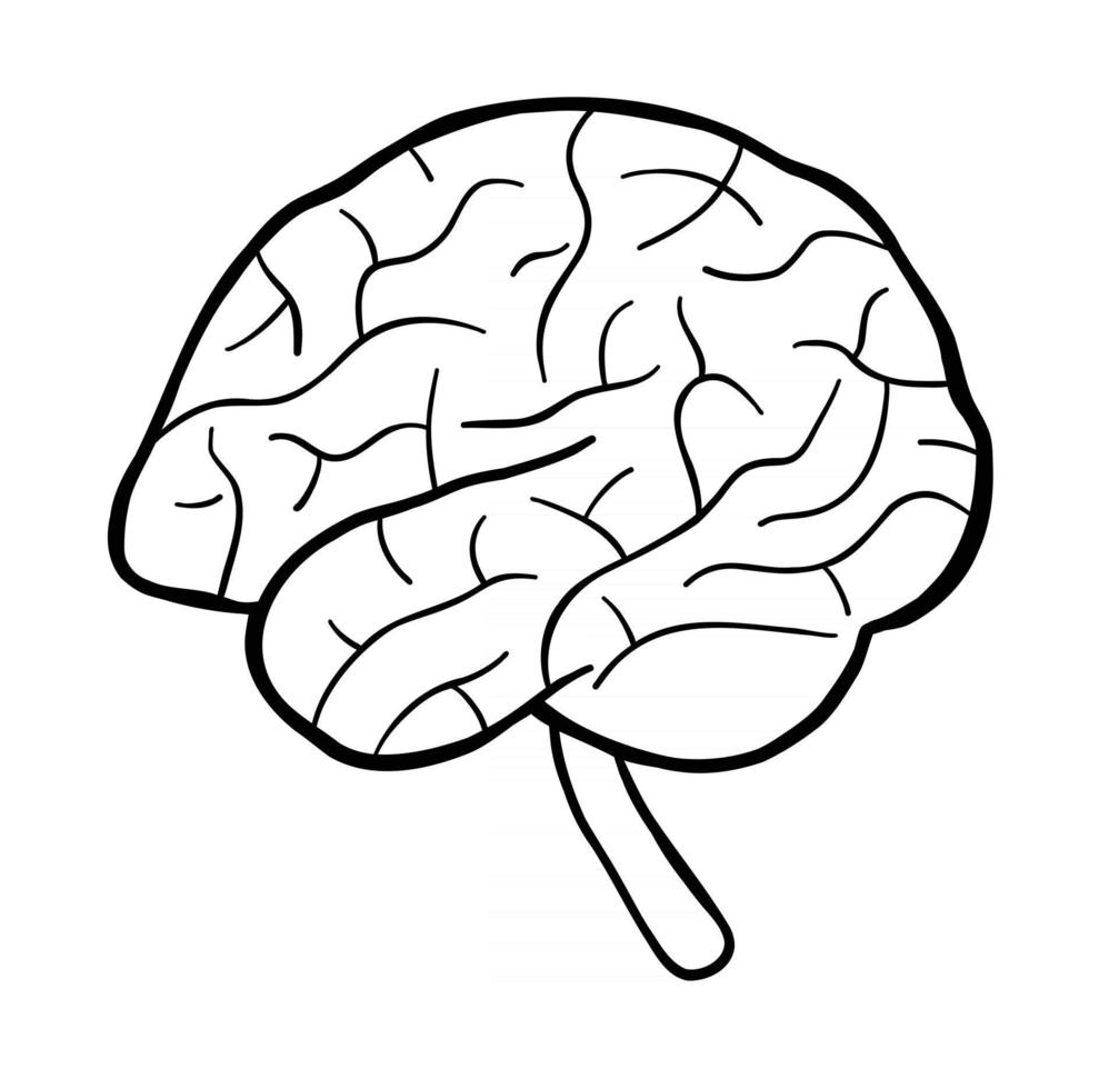 Cartoon Vector Illustration of Human Brain