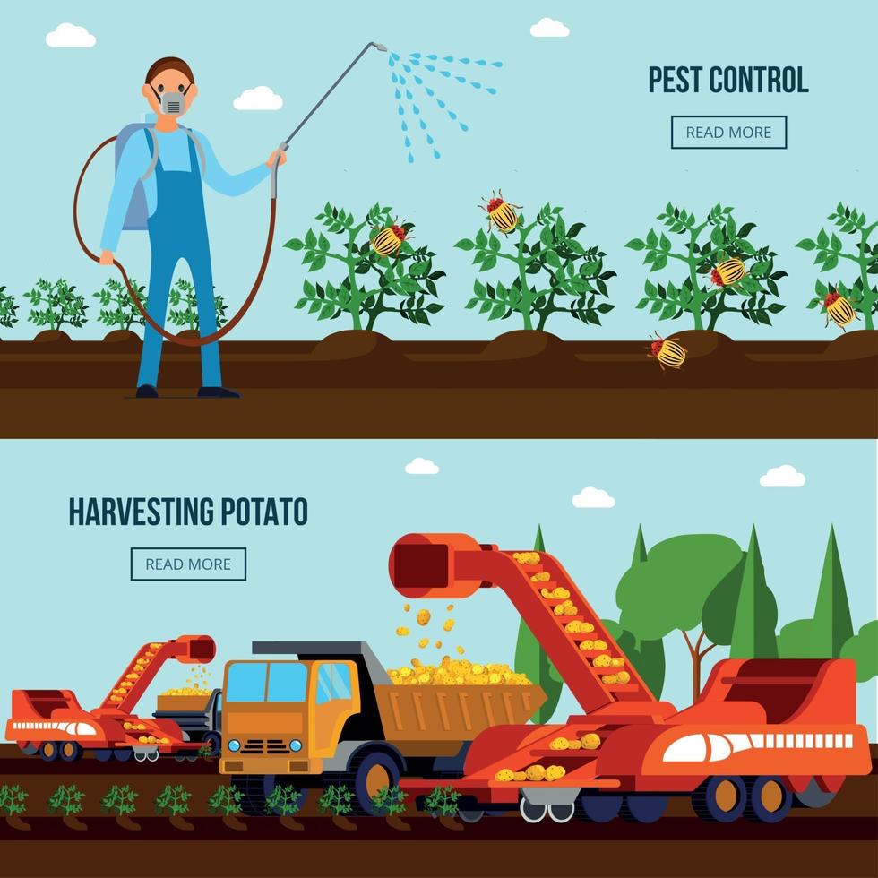 Ilustración de vector de composiciones planas de cultivo de papa