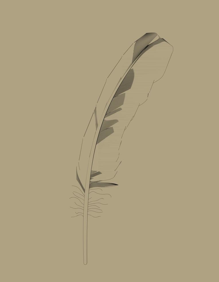 Retro Bird Feather Drawing in Vector Illustration.