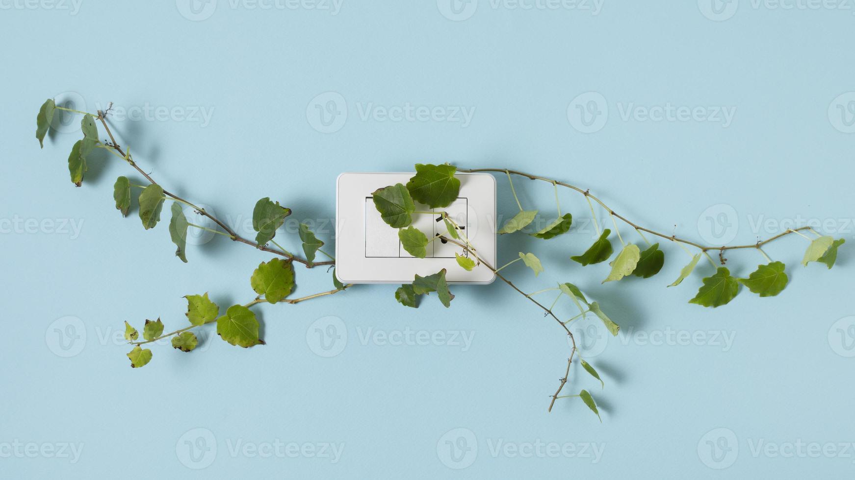 Still life sustainable lifestyle elements arrangement photo