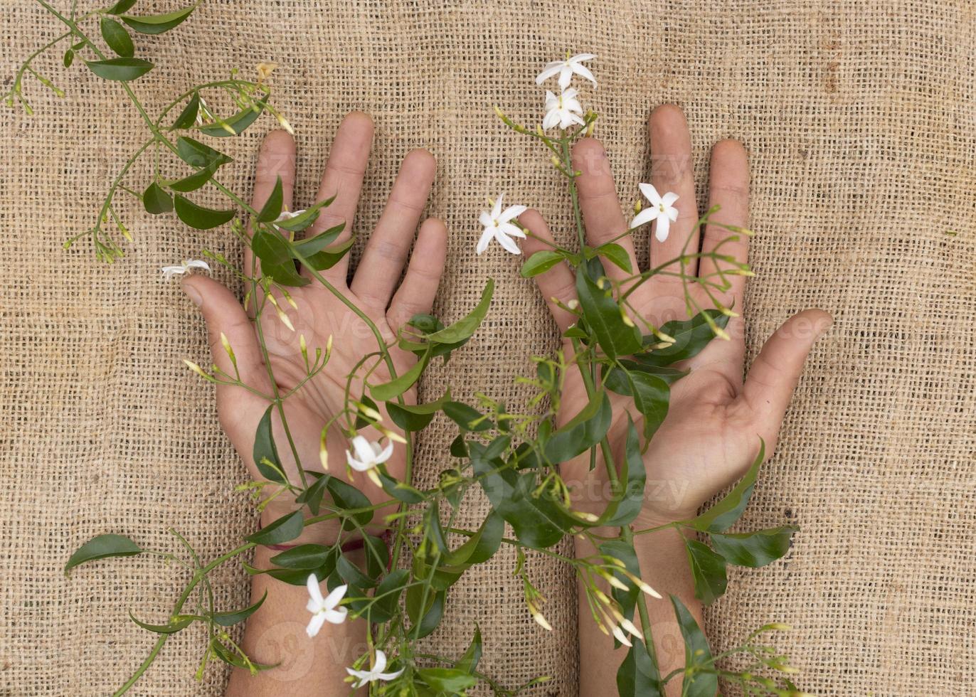 Still life sustainable lifestyle elements arrangement photo