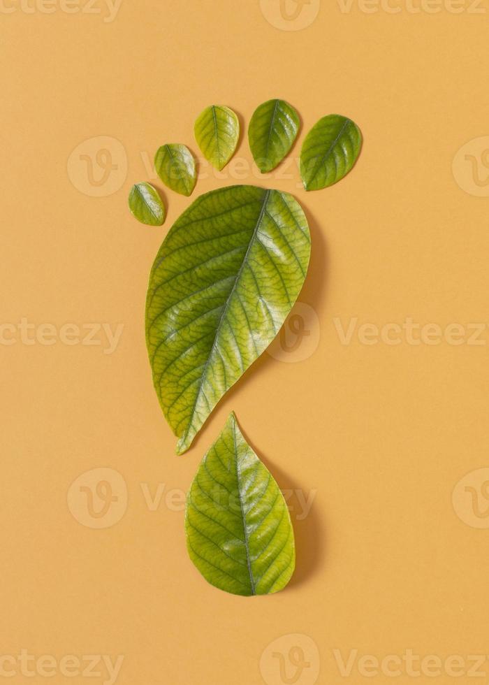 Still life sustainable lifestyle elements arrangement photo