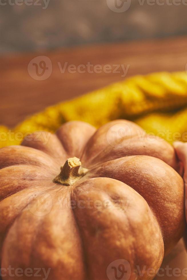 Ripe orange pumpkin and knitted warm sweater. photo