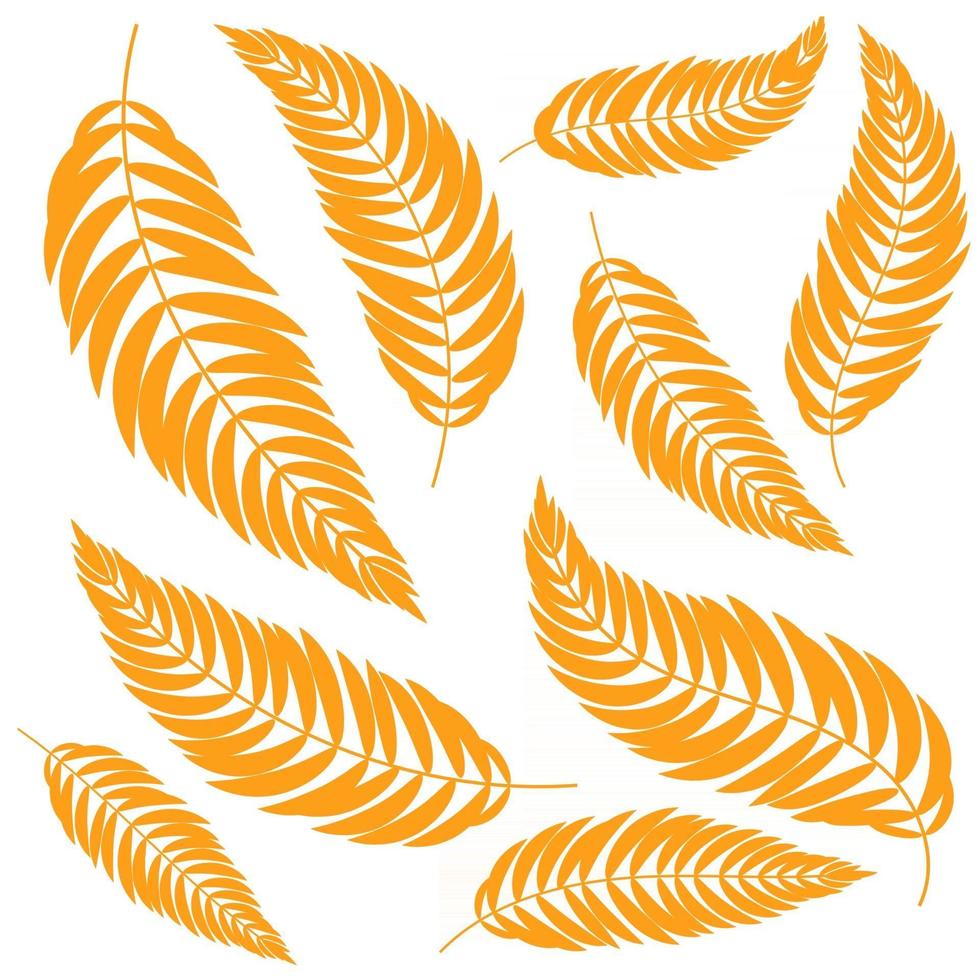 Set flat abstract isolated orange leaf curving in different directions vector