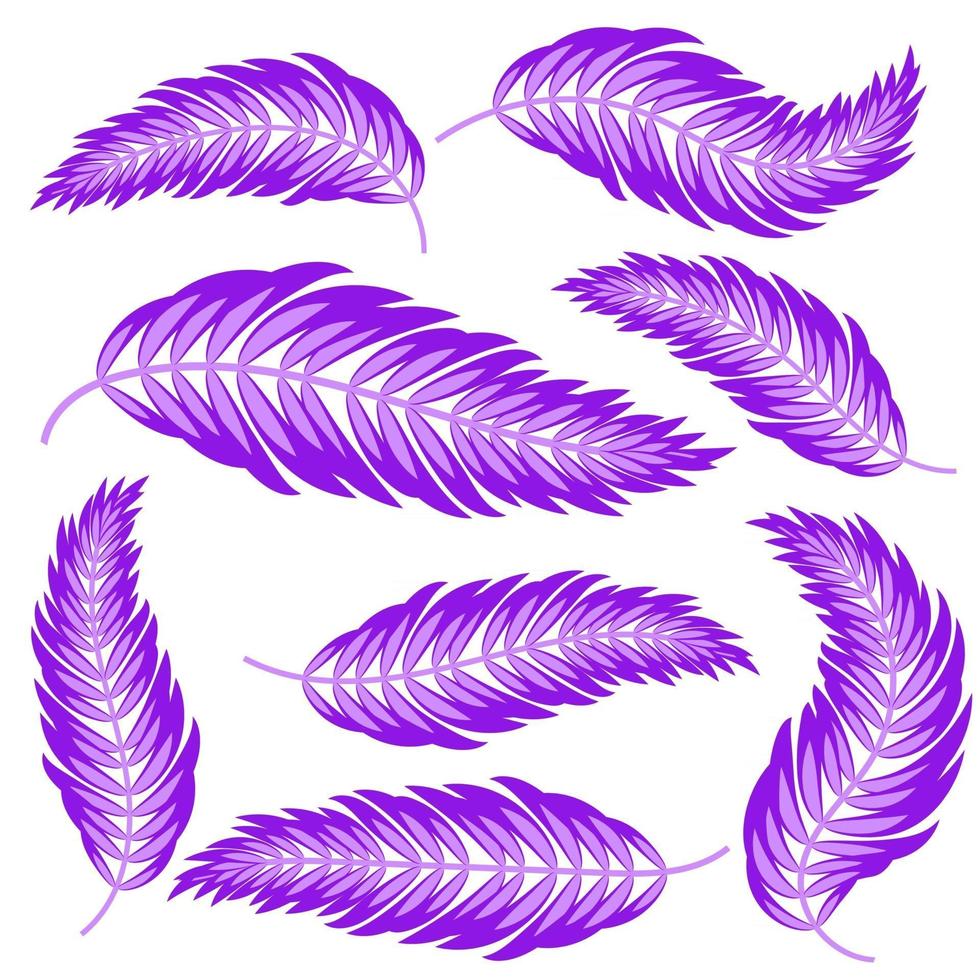 Set of flat isolated abstract purple silhouettes of the leaves curving in different directions vector