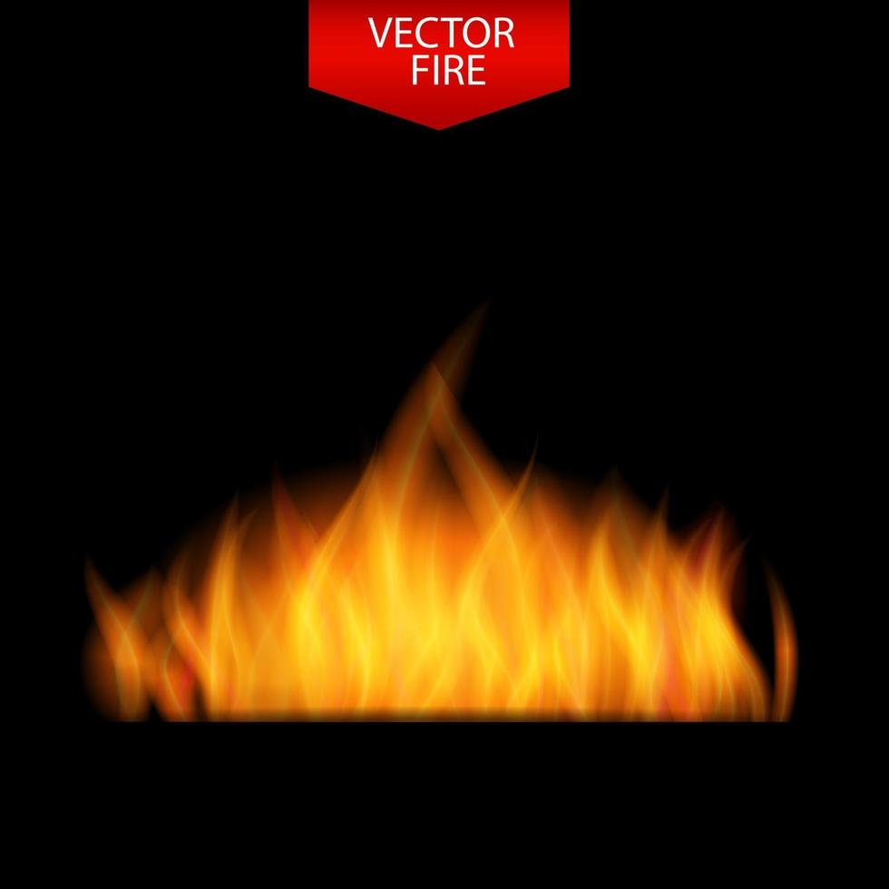 Naturalistic Fire on Dark Background. Vector Illustration